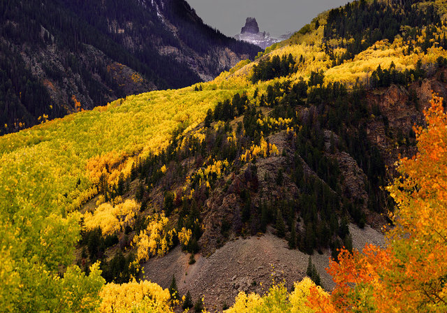 Lizard Head, Aspens