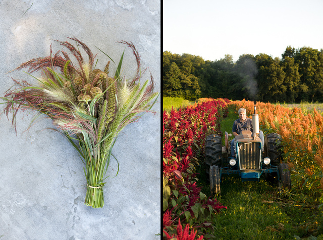 river garden pair.jpg