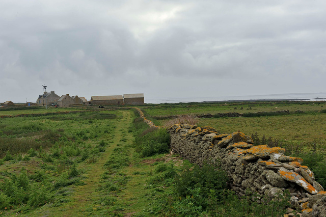 Le chemin de la cale au hameau