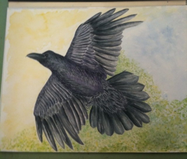 Raven's Return 10"x12"