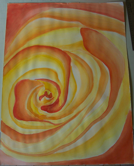 Orange Rose