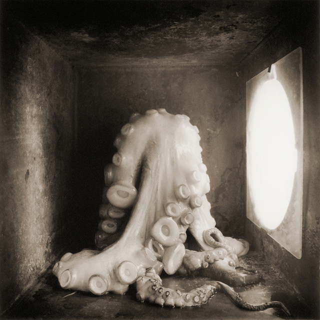 Octopus, c 2000