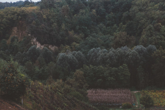 Langhe-9.jpg