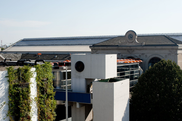 ALM0005-2011CL022.JPG