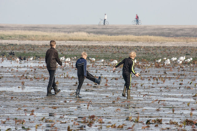 Boys playing in the mud