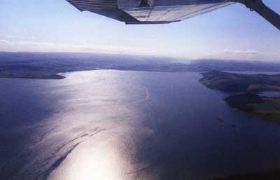 Highlands Wing Over Sea by Alison Gracie