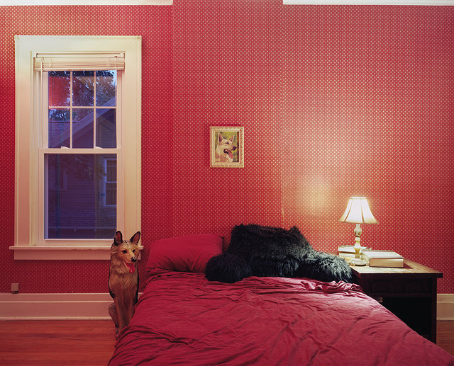 Untitled Interior (german shepherds), 2011