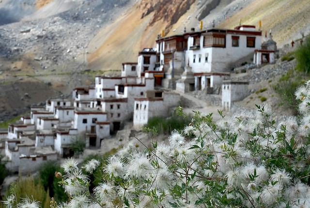 Ladakh_31.jpg