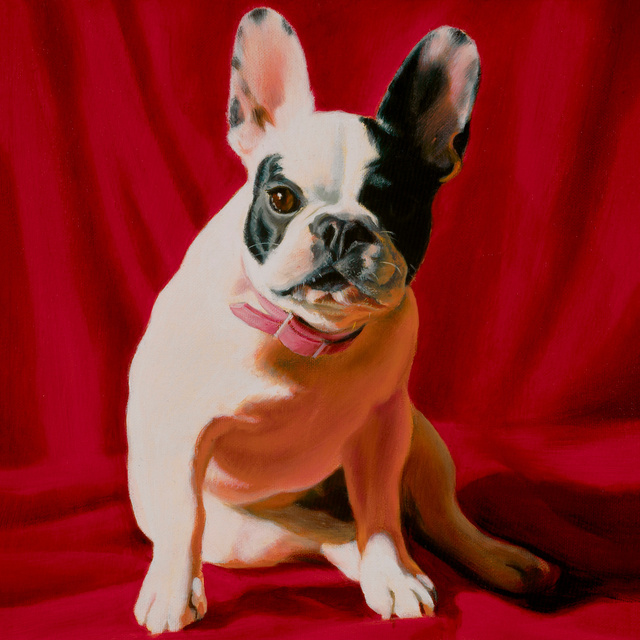 Breed: French Bulldog / "Fanny"