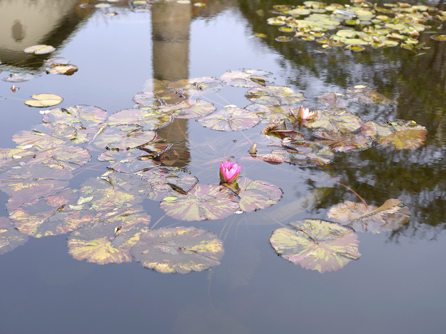 © 2012 Roz Akin