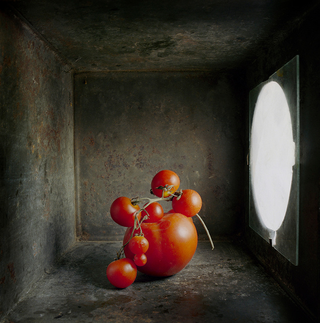 Cherry Tomatoes, c 2002