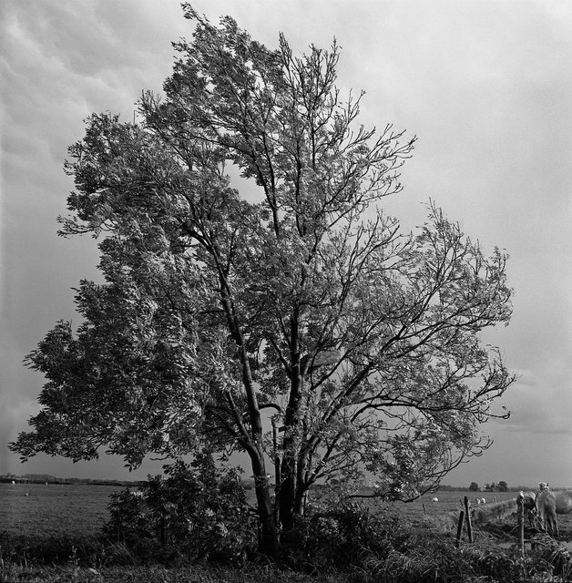 boom - 2006-03-21 at 15-08-06.jpg