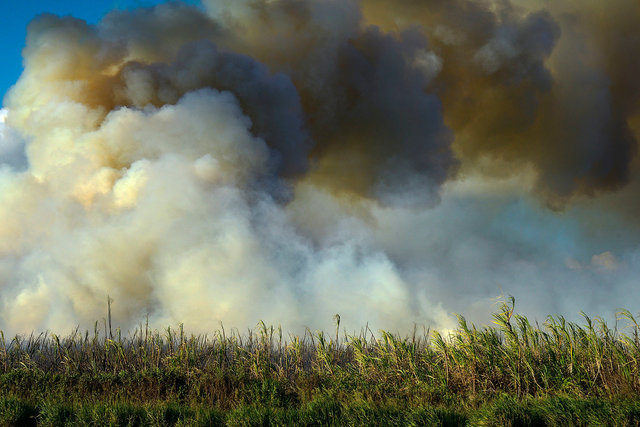 Last sugar cane burn on Maui