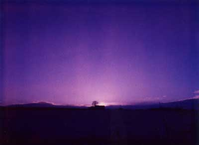 Purple Sunset 5 by Alison Gracie