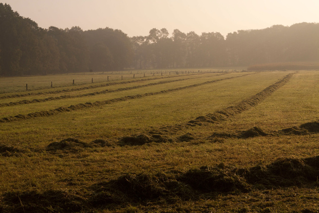 Zonopkomst in Beekdal.