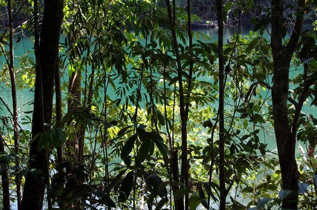 Lake Eacham (2) VB.JPG