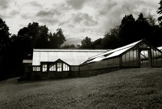 Abandoned Greenhouse