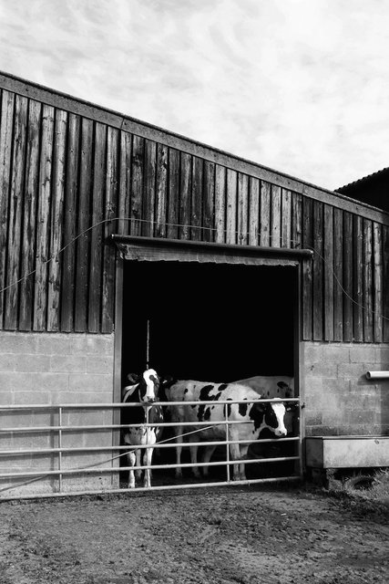 Bosley Mill Farm, Gloucestershire