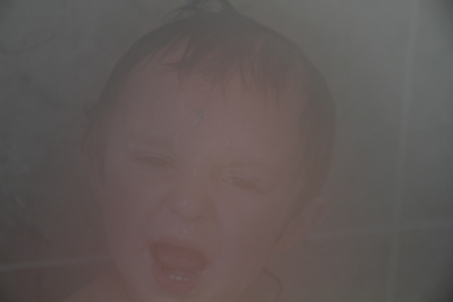Scream