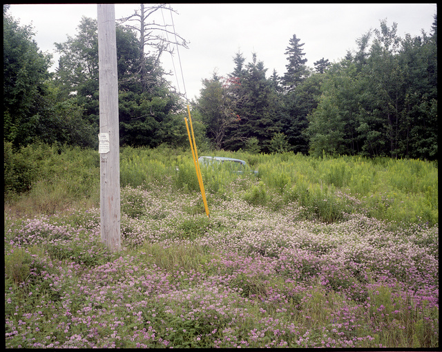 Calais, ME (mercedes in flowers)