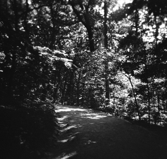 Path to Monticello, outside Charlottesville, Virginia USA