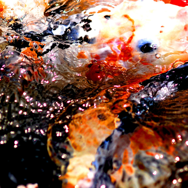 Andrew Gurnett: Instinct 3