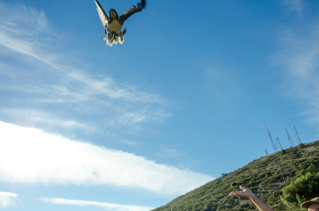 Freedom.
