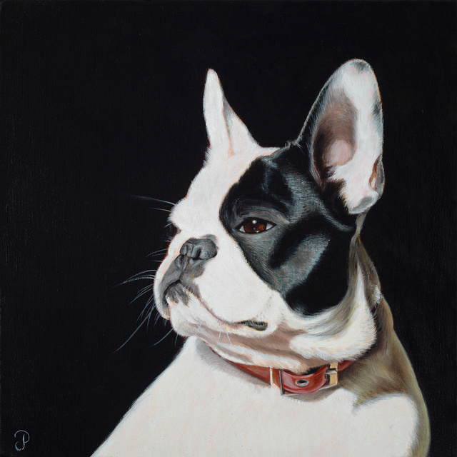 Breed: French Bulldog / "Fanny"