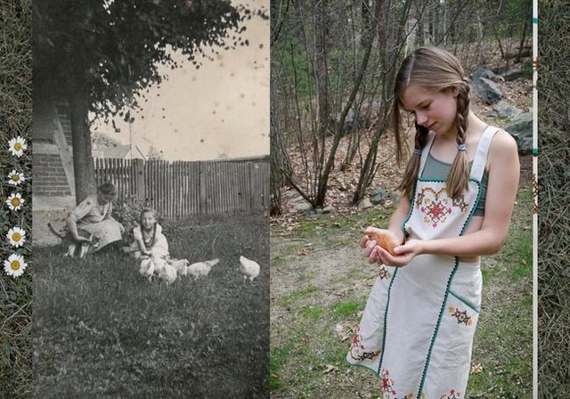 Hühner (Chickens)