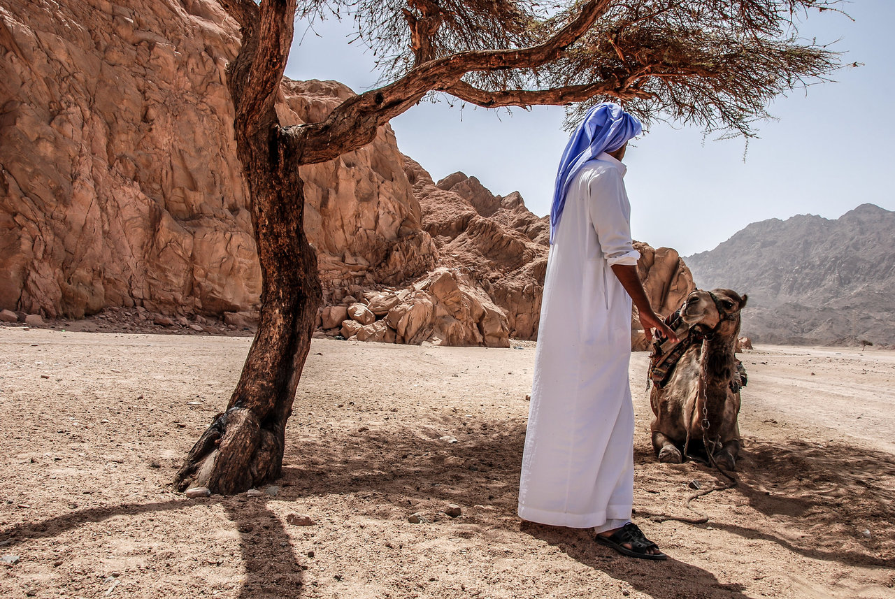 Мусульманские тайны. Пророк Мухаммед в пустыне. Тунис бедуины. Бедуины Палестины.