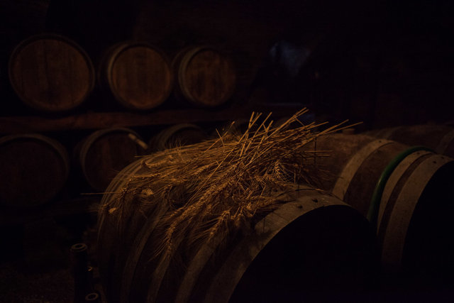 Langhe-20.jpg