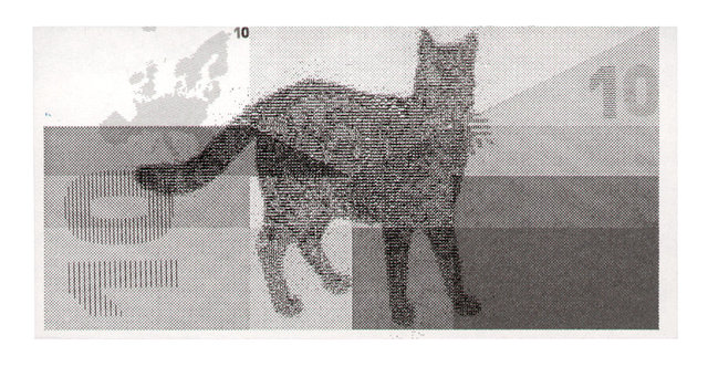 14_10.jpg
