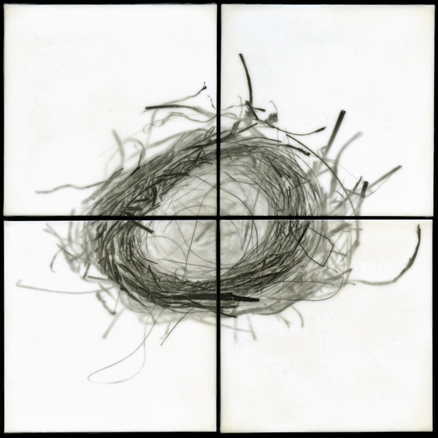 Nest IX