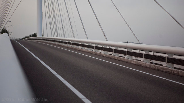 _MG_5446.jpg