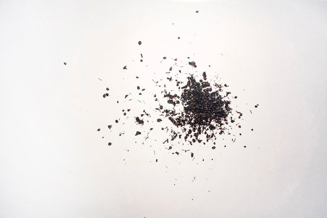 黑蚂蚁 (Hei Mayi)