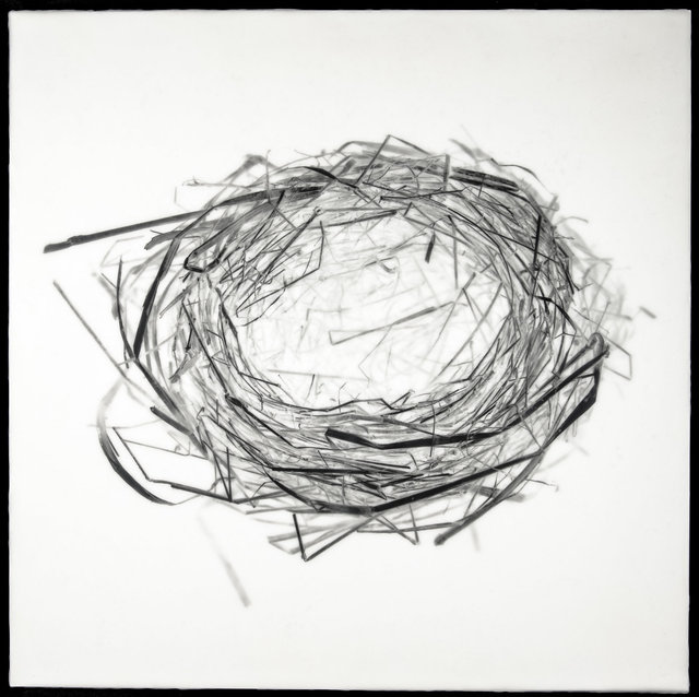 Nest XVI