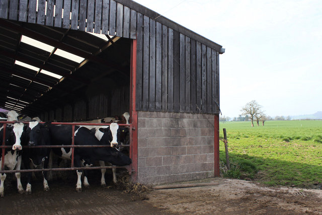 Cow Shed, Bosley Mill Farm, Gloucestershire