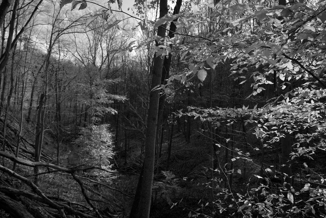 WEB_MG_0611.jpg