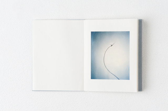 encounters, 33 pages, accordion book. Published by Datz Press in 2015.