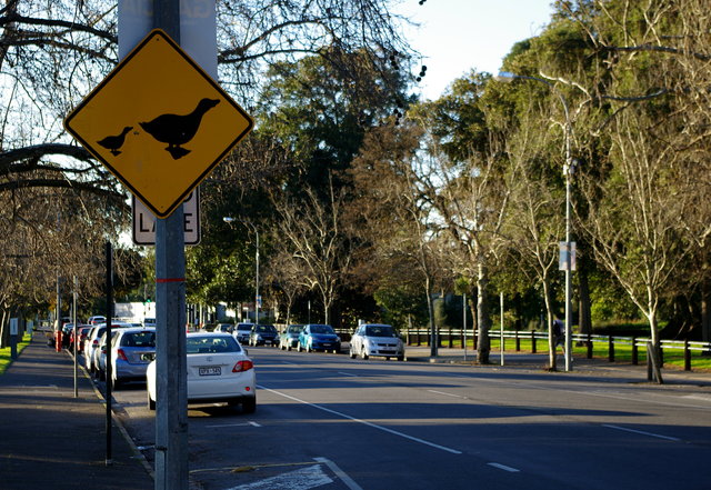 Frome Road, Adelaide (1) VB.JPG