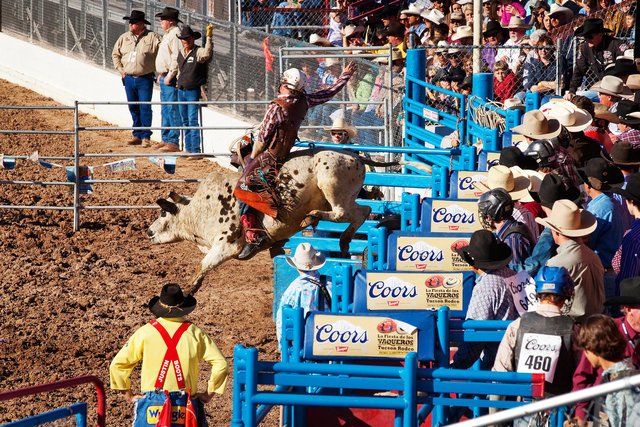 Tucson Rodeo III