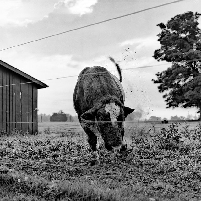 Bunnel Crossing, KY