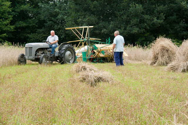 Maai demonstratie Molen v Frans