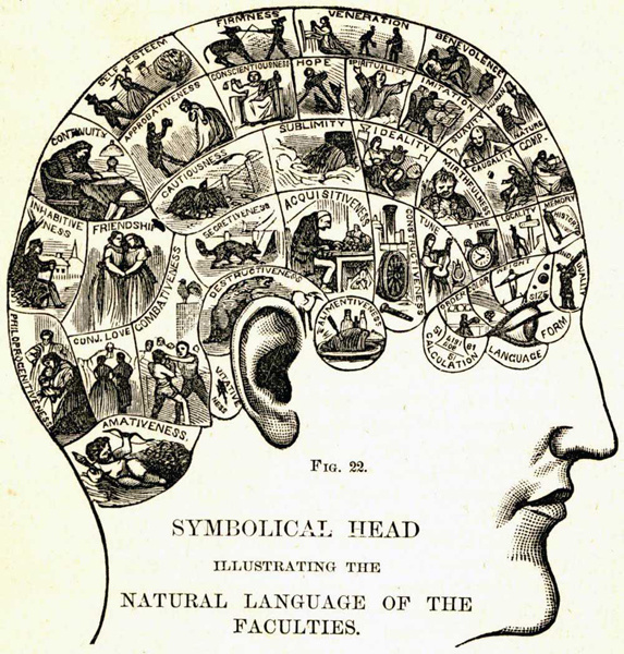 phrenology_personality_trait_diagram.jpg