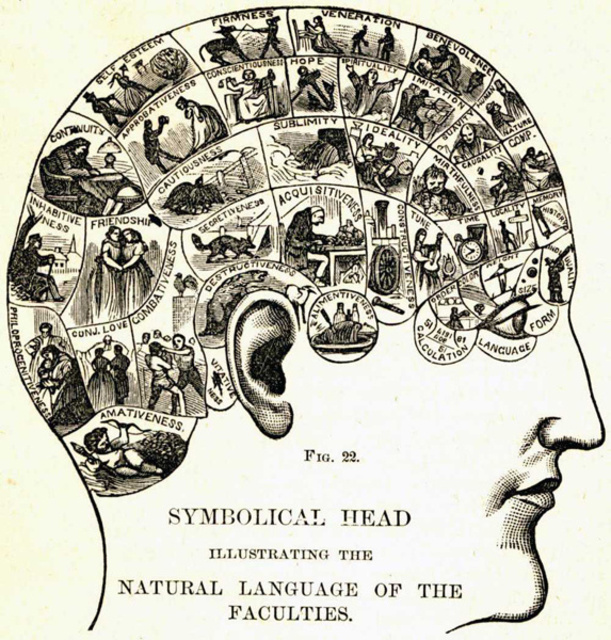 phrenology_personality_trait_diagram.jpg