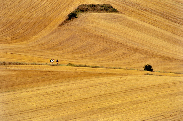 Le chemin dans la Rioja