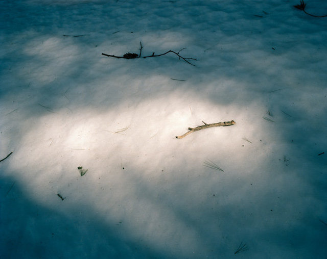 Walden Pond, Concord, MA, 2015
