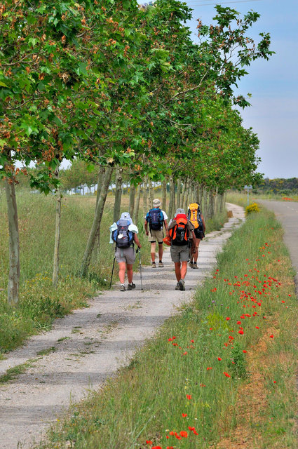 Le chemin près de Sahagun, Castille