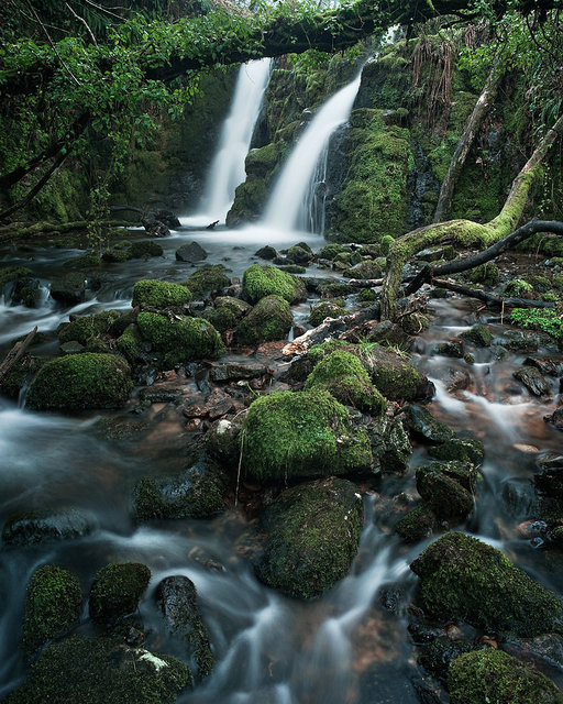 Vennford Falls