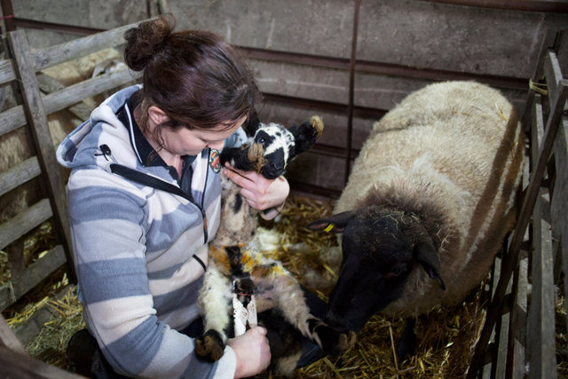 Helen Griffiths, Longridge, Hartpury, Gloucestershire